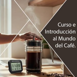 Curso 10 de Octubre